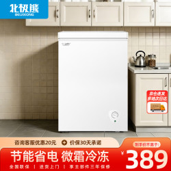 北极熊 BEIJIXIONG）小冰柜家用小型冷冻保鲜节能省电一级节能 158白色