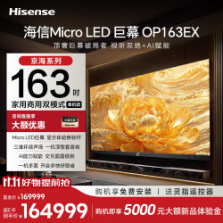 海信 163英寸Micro LED巨幕新品高清家庭影院AI会议电视平板一体机 OP163EX 单机