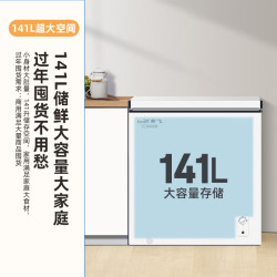 新飞 BC/BD-141KJ 单温冰柜 141L
