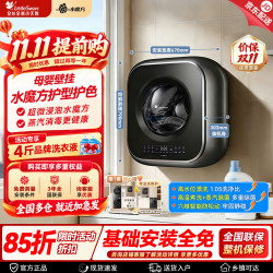 小天鹅 小海绵2.0轻享版系列 TG30M60 迷你壁挂洗衣机 3kg 金属钛