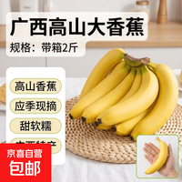 京东 新鲜现摘广西高山大香蕉甜蕉当季新鲜水果应季现摘香蕉一整箱批发 高山香蕉 净重9斤