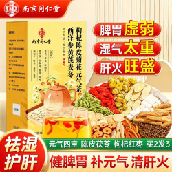 南同神州 西洋参党黄芪麦冬枸杞红枣菊花陈皮茯苓补气血健脾疏护肝养生茶包