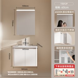 瑞尔特 不锈钢 浴室柜组合 陶瓷一体盆 洗漱洗脸盆