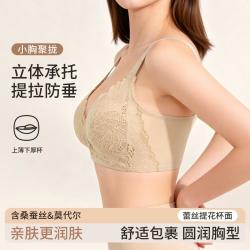 芬腾 提拉防下垂小胸聚拢显大胸显小内衣女透气胸罩