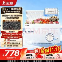 志高 一级能耗 卧式冷柜  272L