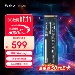 致态 TiPro9000系列 长江存储 SSD固态硬盘  500GB