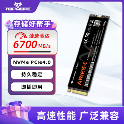 TOPMORE M.2固态硬盘白羊座-C高速PCIe4.0大容量SSD台式机NVMe笔记本 白羊座（无外置缓存DL） 1T