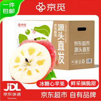 京觅 甘肃大漠冰糖心苹果净重8.5斤装 单果75mm+新鲜水果源头直发