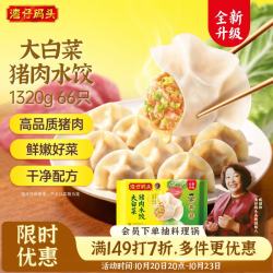 湾仔码头 大白菜猪肉水饺 1.32kg