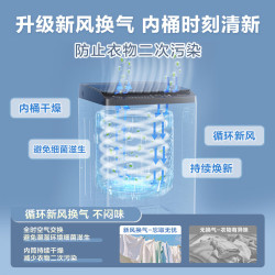 小天鹅 8KG波轮洗衣机大容量租房家用全自动洗脱V28T 45
