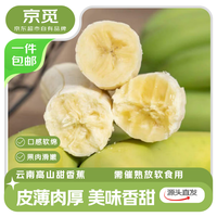 京觅 云南青皮甜香蕉 净重5斤单果100g+