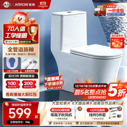 箭牌 AE1021M 连体式马桶 305mm坑距