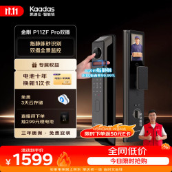 凯迪仕 P11ZF Pro 双摄版 智能电子锁 幻影黑