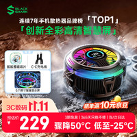 黑鲨 6 Pro 磁吸半导体散热背夹 黑色