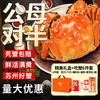 湖中秋色 全母大闸蟹 2.0-2.3两 10只装