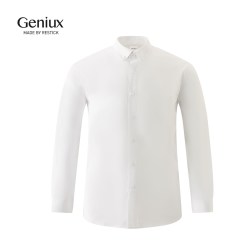 Geniux商务通勤衬衫男士长袖西装衬衣秋季