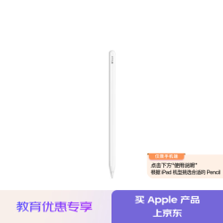 苹果 Pencil(第二代) 磁吸触控笔苹果笔电容笔ipad笔 适用iPad Air五代