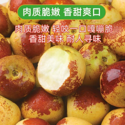山东沾化冬枣脆甜当季鲜果源头整箱包邮产地直发清脆爽口新鲜水果