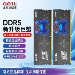GeIL DDR5内存条巨蟹8GB×2 16Gx2 6000 海力士A时序C28马甲条