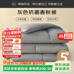 源生活被子春秋 A类抗菌可水洗四季被 约5斤1.8米床220x240cm灰色