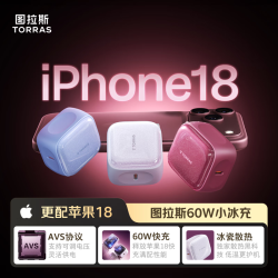图拉斯 60W氮化镓快充 AVS协议冰瓷散热 充电头套装