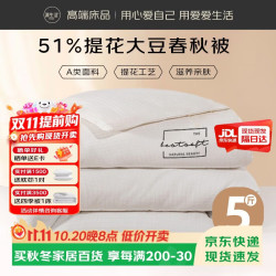 源生活 被子被芯 51%大豆纤维被双人 春秋被 约5斤220x240cm