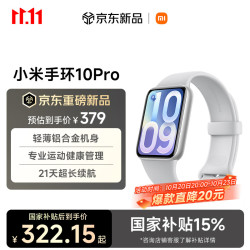 小米 10 Pro 标准版 智能手环 灰色 TPU