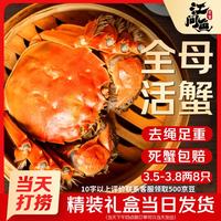 江问鱼 大闸蟹全母3.5两-3.8两 8只装 鲜活螃蟹生鲜礼盒(去绳足重、死蟹包赔)