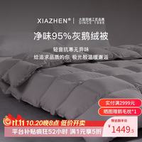 霞珍 95鹅绒被子 轻音保暖双人被芯 适宜室温10-15℃ 冬被-220*240cm-填充1100g 冬被