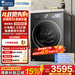小天鹅 TD10VE40SE