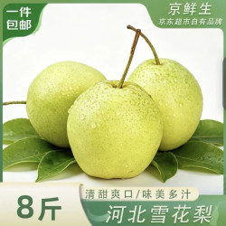 京鲜生 河北雪花梨 净重8斤 单果250g+ 生鲜水果 源头直发 包邮