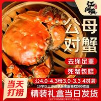 江问鱼 公蟹4.0-4.3两/只 母蟹3.0-3.3两/只 4公4母礼盒装 鲜活螃蟹 去绳足重 死蟹包赔
