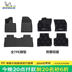 米其林 TPE脚垫【今晚8点前20名抢6折】适用 智己LS6 车型，保价双11！