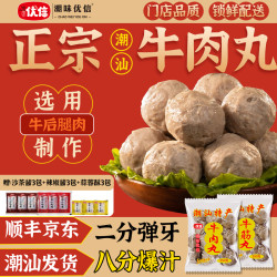 潮味优信 正宗潮汕牛肉丸爆汁牛筋丸劲道烧烤涮火锅食材