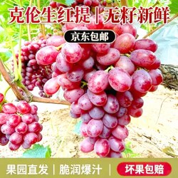 汇果康 新鲜克伦生红提无籽葡萄新鲜水果提子脆甜皮薄京东儿童整箱包邮