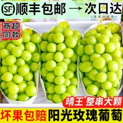 绿念 阳光玫瑰葡萄新鲜水果5斤晴王葡萄无籽香印提子青提当季整箱顺丰