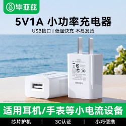 毕亚兹 5V1a2a充电头USB充电器TypeC插头5W小功率手表耳机台灯风扇