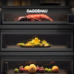 GAGGENAU 官方正品 嘉格纳/GAGGENAU 艺境系列嵌入式冷藏冰箱 RVC497190