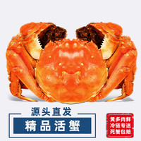 陈鲜生 大闸蟹3.0-3.3两8只鲜活现货超大螃蟹生鲜礼盒装源头直发