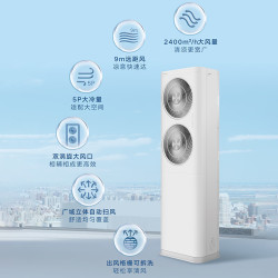 格力 5匹柜机空调 变频冷暖 新二级能效 商用大风量380V立柜式空调 EFR12W/NhA-N2