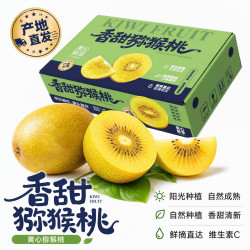 京觅 黄心猕猴桃 15枚 单果60g+奇异果新鲜水果生鲜 源头直发