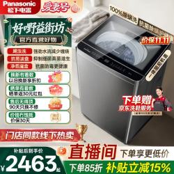 松下 大海豹 波轮洗衣机 全自动家用 12KG大容量除螨洗抗菌波盘 XQB120-Q201