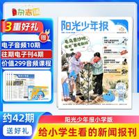 阳光少年报 2027年1月起订 1 年共 42 期 月投