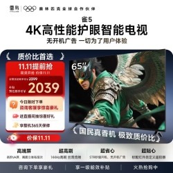 雷鸟 电视65雀5 65英寸 高阶VA屏 标配红外自定义遥控器 无开机广告 STR快速开机