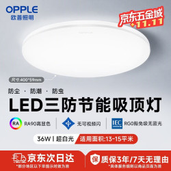 欧普照明 led三防灯超薄楼道灯IP40防尘防蚊虫简约节能灯36w-白光