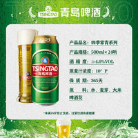 青岛啤酒 经典(1903)500ml*24罐 整箱装批发赠白啤330ml*6听