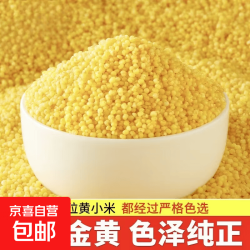 京喜 山东阿胶速溶粉即食补充品气血细腻阿胶粉搭配黄小米五谷杂粮熬粥 精选黄小米 100g*1袋