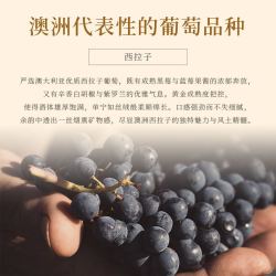 月之湾 甄选澳洲原瓶干红葡萄酒550ml单支装