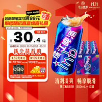 珠江啤酒 inb啤酒 500ml*12罐