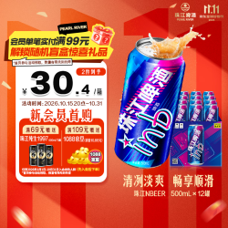 珠江啤酒 inb啤酒 500ml*12罐